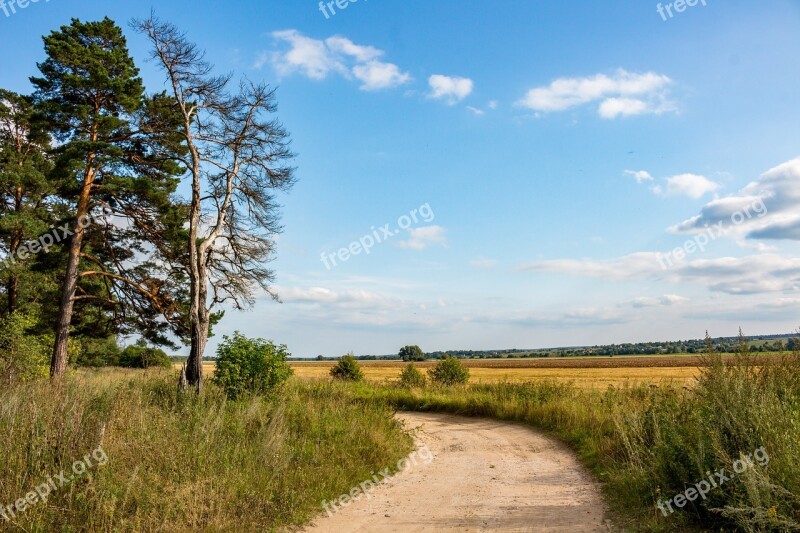 Twist Rural Road Nature Background