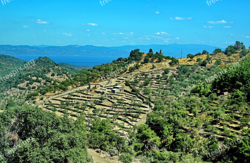 Terrace Cultivation Terrace Greece Greek Agriculture