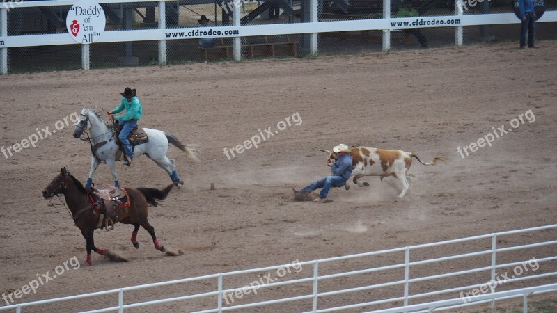 America Cowboy Horses Rodeo United States