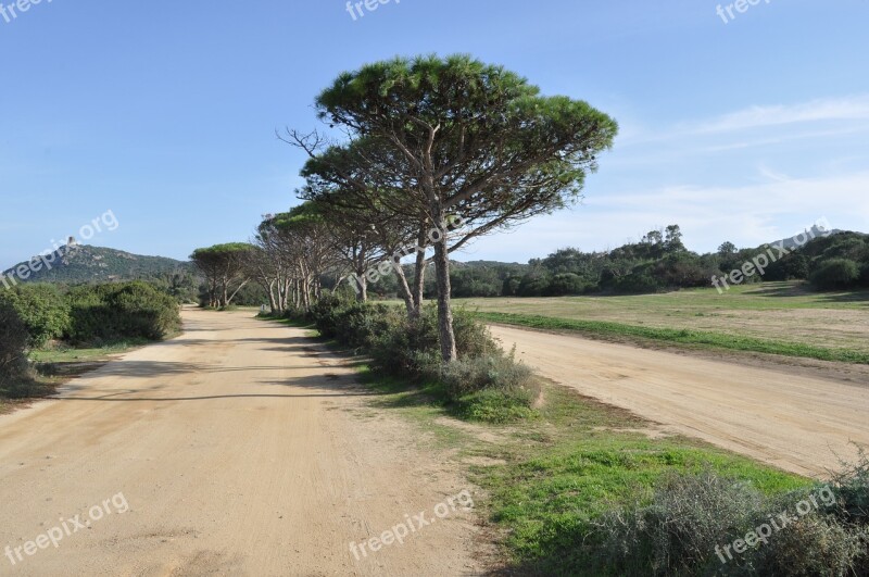 Sardinia Landscape Steinig Free Photos