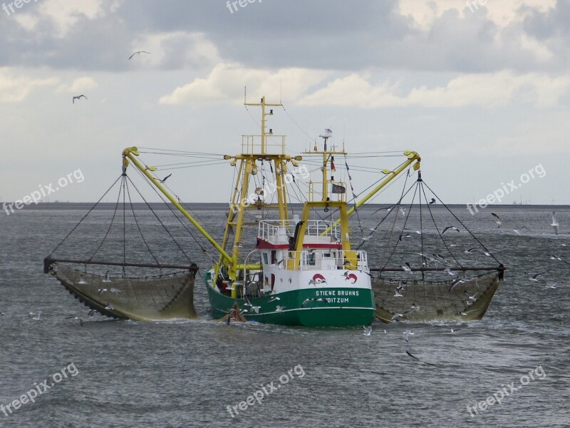 Crab Fisherman North Sea Gulls Borkum Free Photos