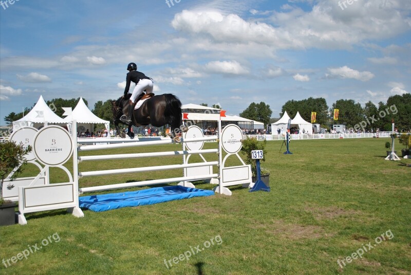 Horses Riders Races Competition France