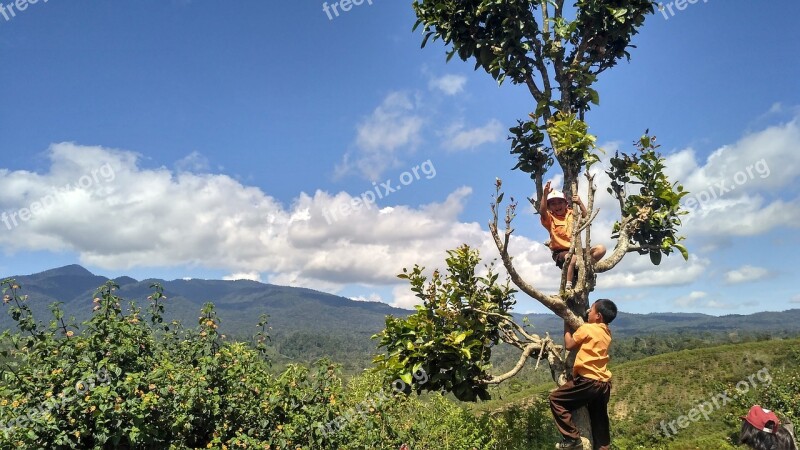 School Kids Mountain Semende Ceremony