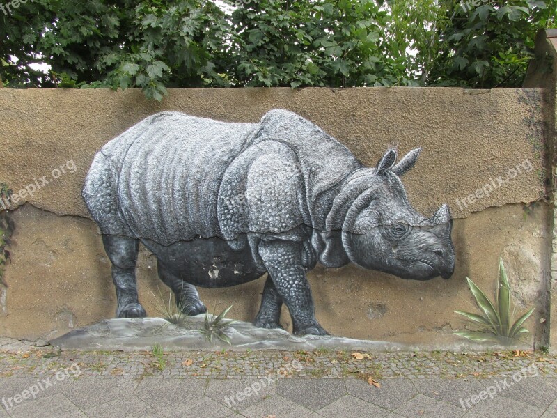 Rhino Wall Art Wall Zoo Berlin