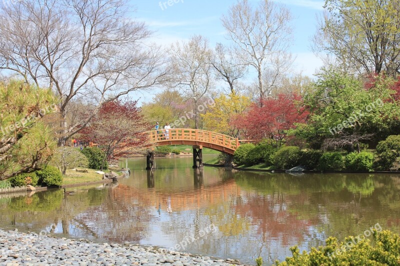 Botanical Garden Missouri Plant Nature