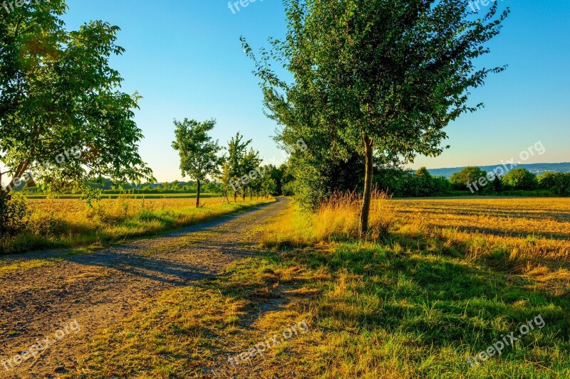 Summer Evening Landscape Abendstimmung Evening Sky Dusk