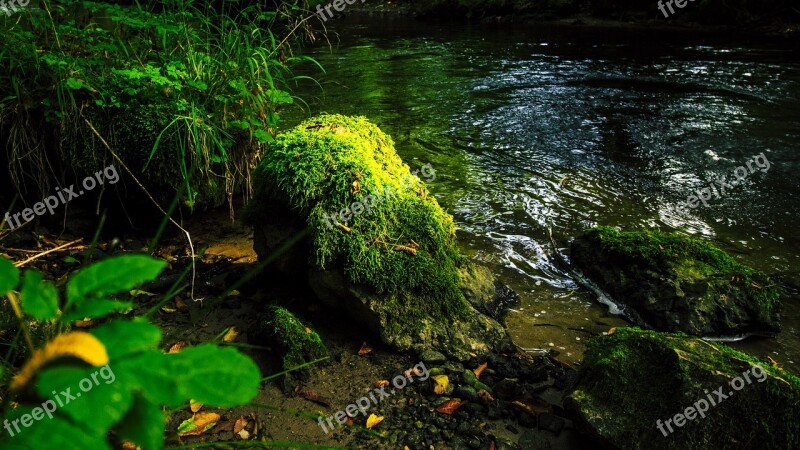 River Landscape Moss Krauchenwies Seefeld Moss Stone