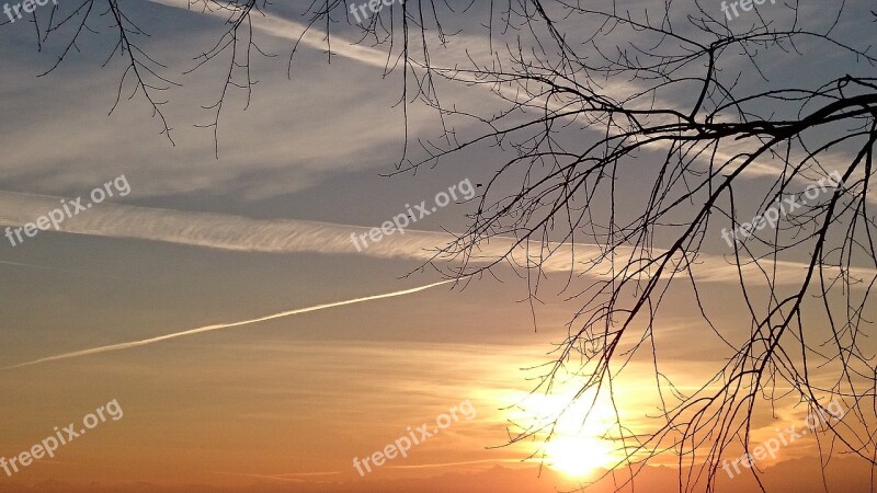 Sky Shine Solar Sunrise The Bare Branches Free Photos