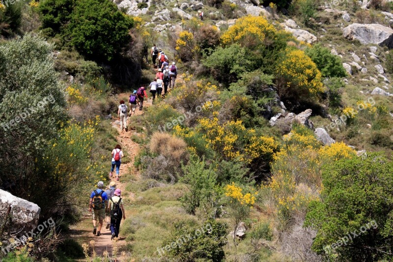 Walk Walk In The Mountains Yellow Flowers Ada Chios