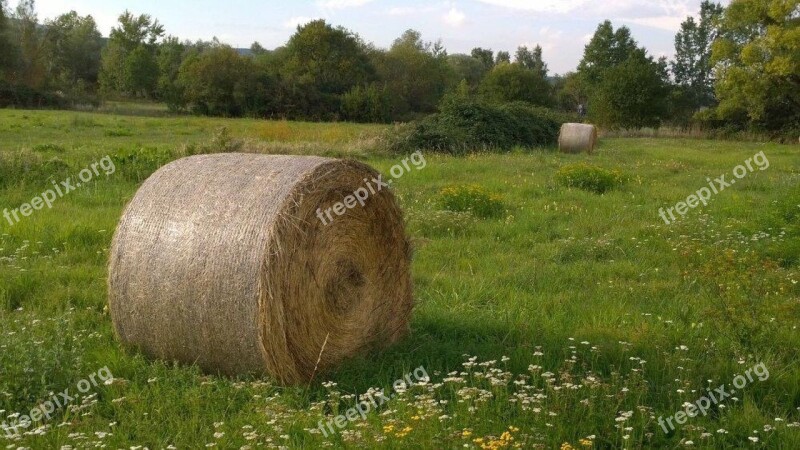 Meadow Straw Bales Straw Hay Bales Round Bales