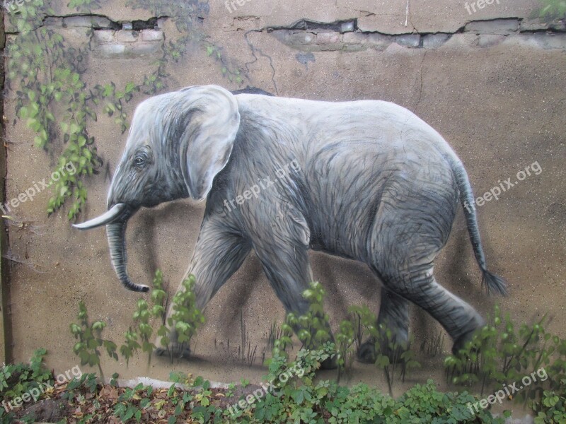 Elephant Wall Art Wall Zoo Berlin