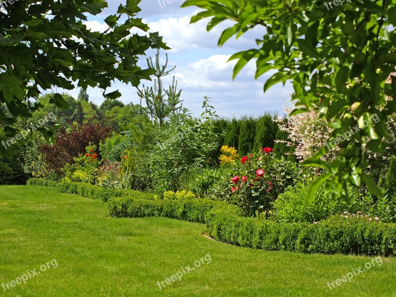 Garden Hedge Rush Summer Blossom