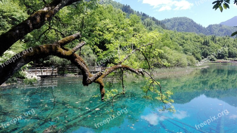 Jiuzhaigou Sichuan Lake Free Photos