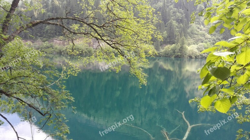 Jiuzhaigou Peacock Lake Sichuan Free Photos