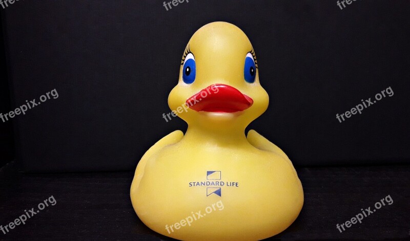 Duck Rubber Duck Water Bath Yellow