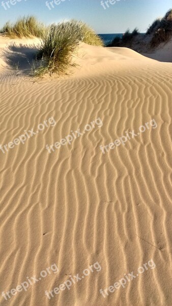 Dune Sand Landscape Summer France