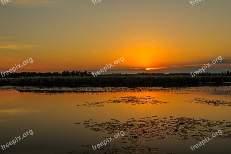 Sunset Spring Lake Bad Buchau Idyllic Beautiful