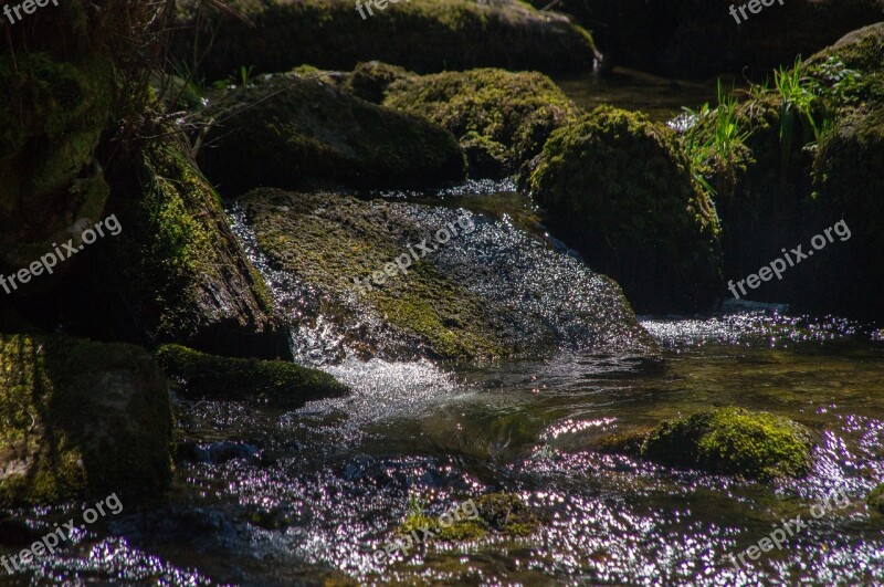 Bach Torrent Waters Water Nature