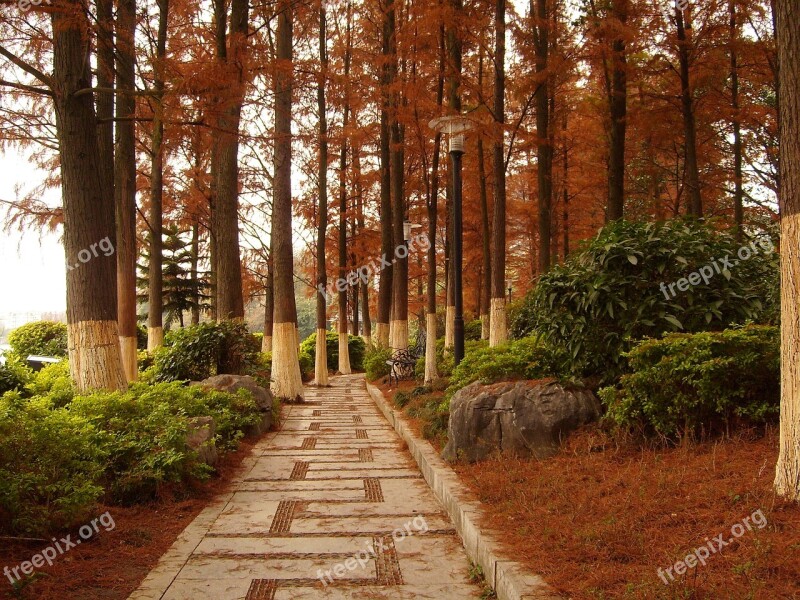 Guilin Kwai Lake Cedar Woods Free Photos