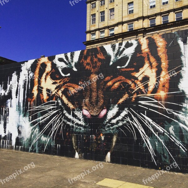 Street Art Graffiti Art Tiger City