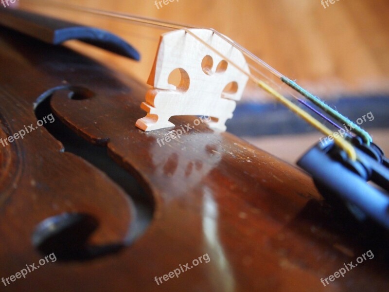 Violin Music Instrument Classical Classic