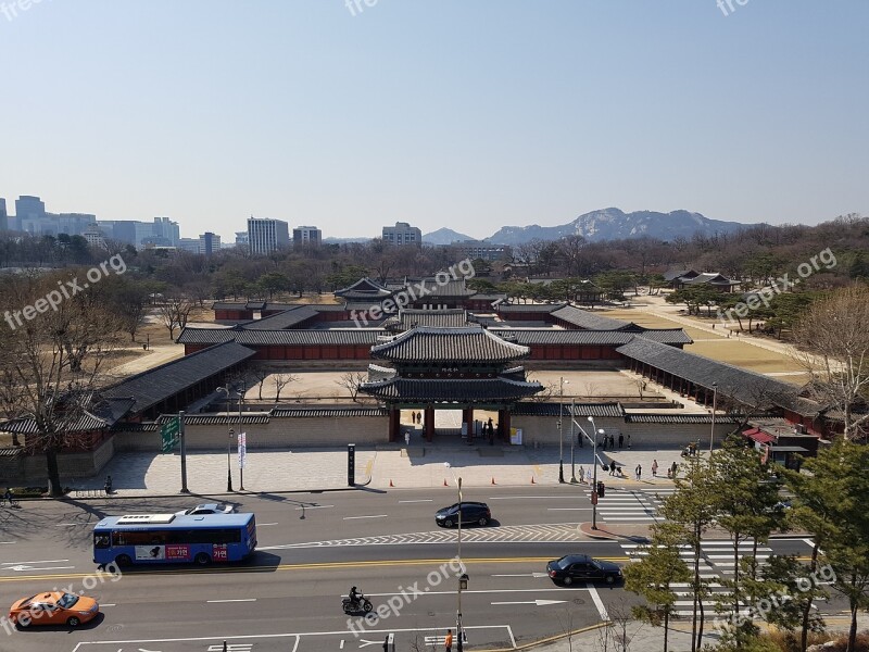 Cultural Property Forbidden City Changgyeonggung Safflower Visitors Korea Culture