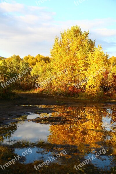 Autumn Forest Lake Reflection Autumn Forest