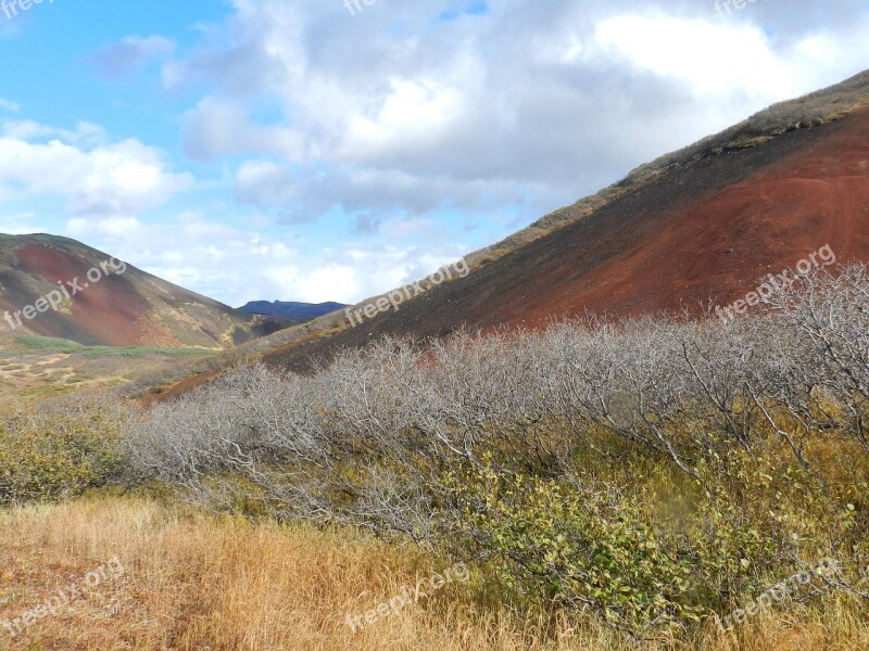 Mountains Late Autumn Bare Trees The Bushes Sky