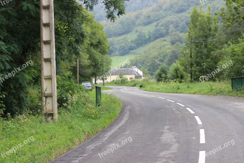 Pyrenee Mountain Lanne In Baretous South France