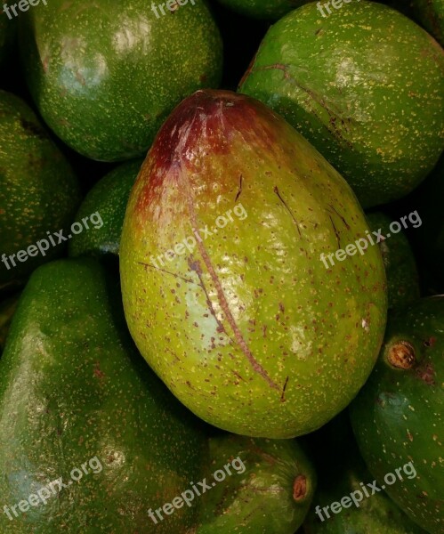 Avocado Fruit Food Green Tropical