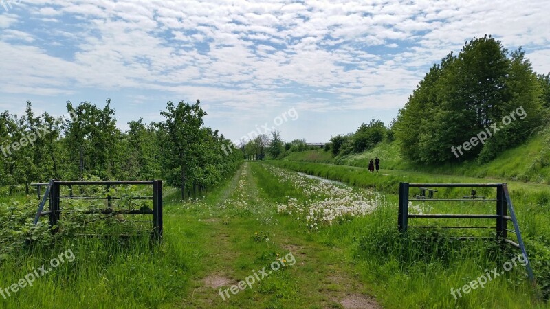 Nature Sky Blue Sky Grass Landscape