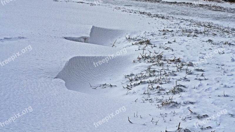 Snow Cold Winter Nature Snowfall