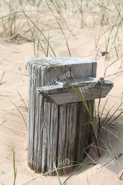 Beach Sand Stump Nature Summer