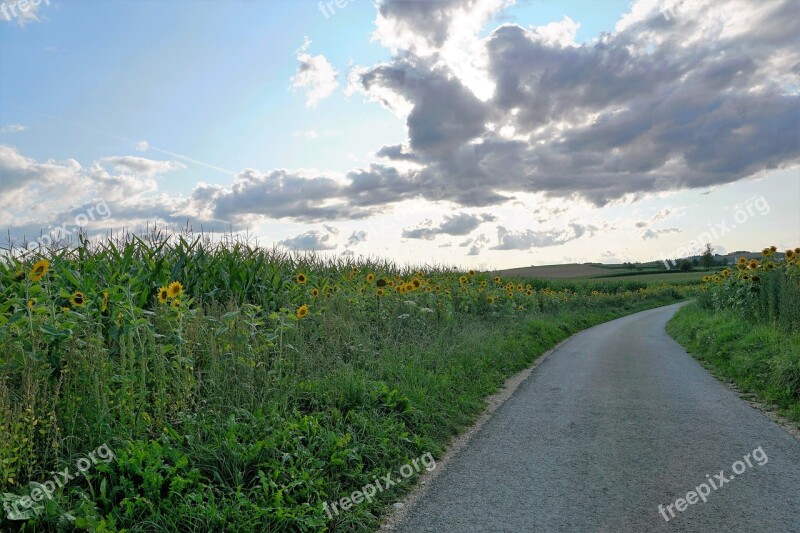 Meadow Field Emmingen Liptingen Tuttlingen