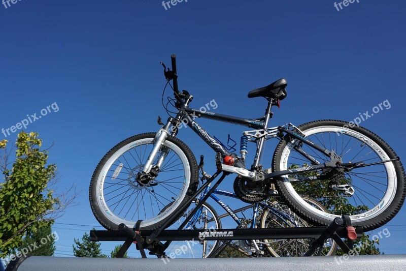 Bike Green Cycle Bicycle Outdoor