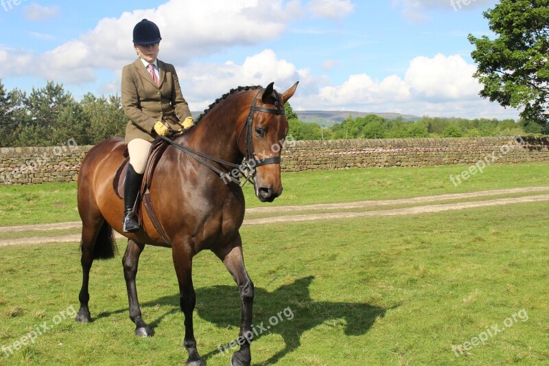 Horse Otley Show Rider Free Photos