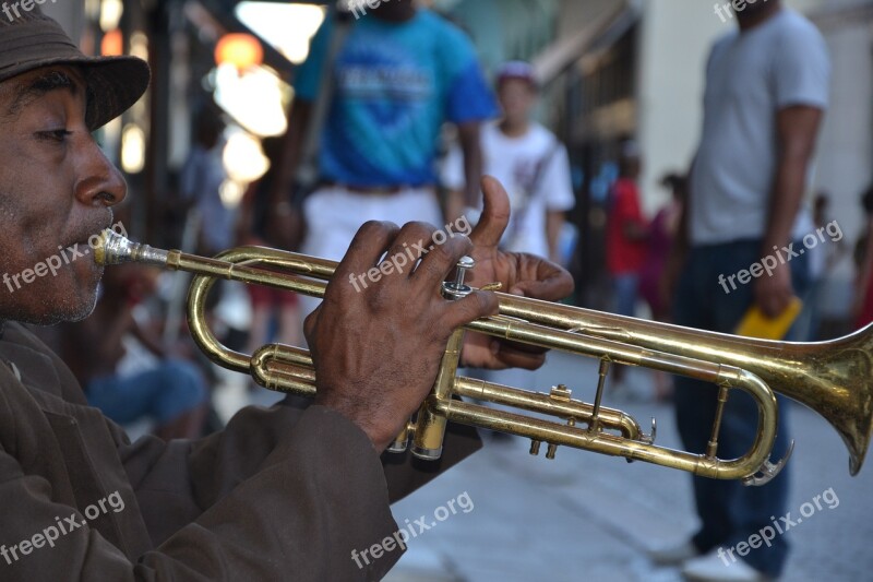 Musician Cuba Latin Instrument Music