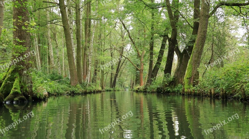 Spreewald Water Channel Nature Landscape