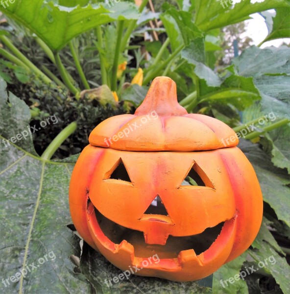 Pumpkin Halloween Harvest Autumn Decoration Happy Halloween