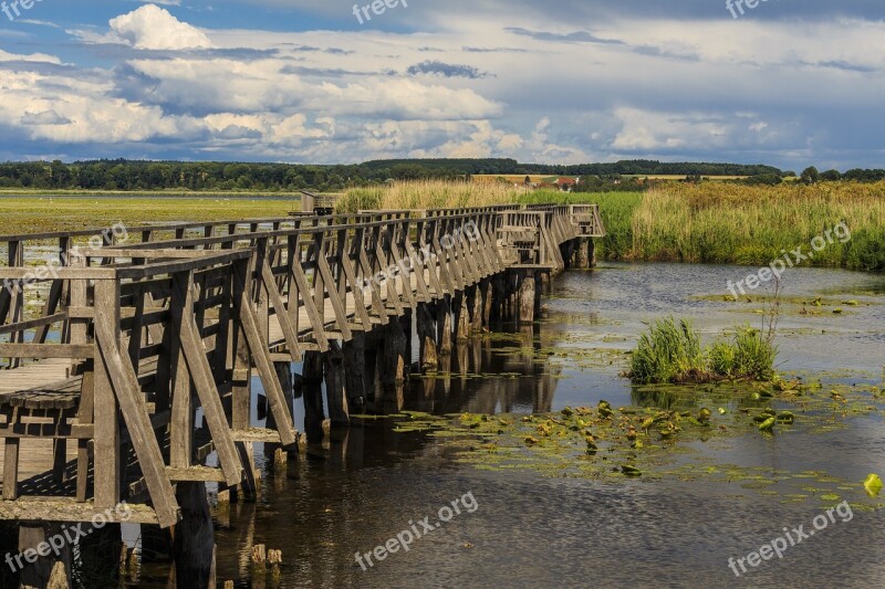 Spring Lake Bad Buchau Boardwalk Nature Conservation Rest