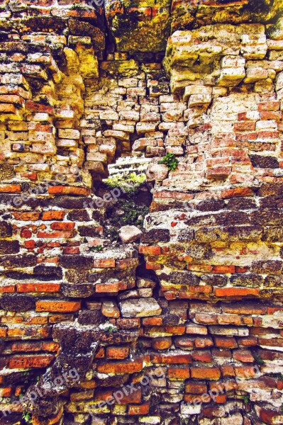 Wall Bricks Brick Wall Background Texture Brown