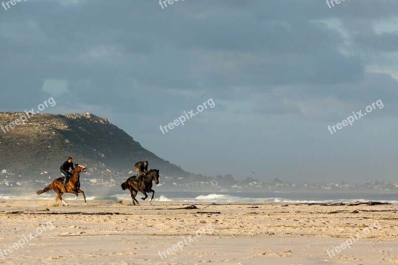 Beach Horses Racing Sand Riding