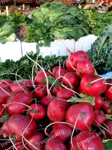 Radish Vegetables Market Vegetarian Veggie