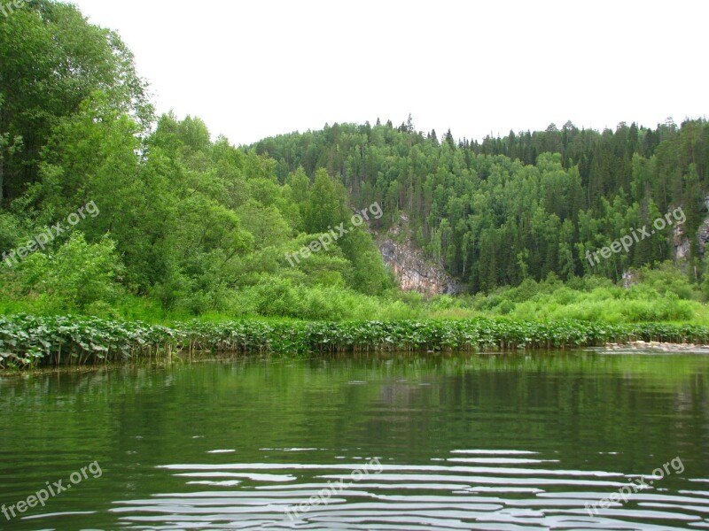 Forest Nature Summer Landscape Green