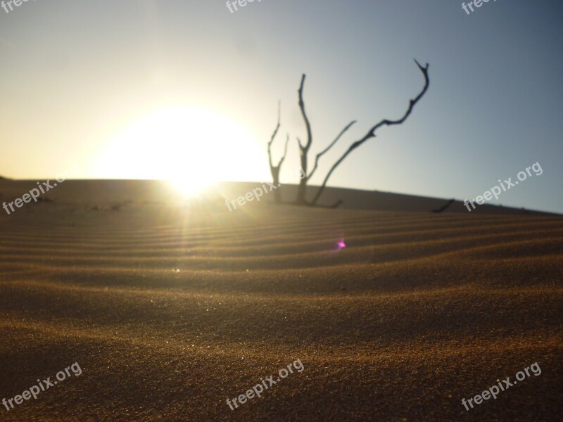 Sand Dry So Sun Desert Calm