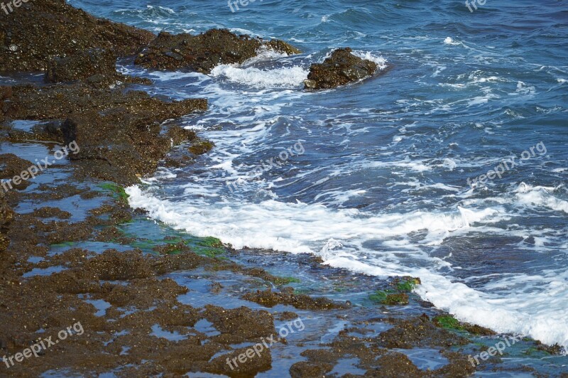 Sea Foam Foam Rocks Beach Water