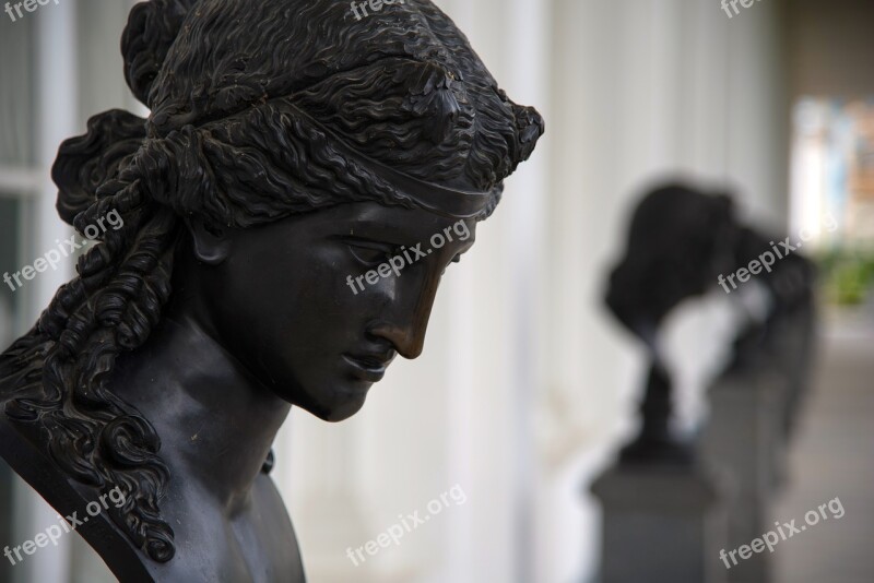 Bust Sculpture A Number Of Black Elegance