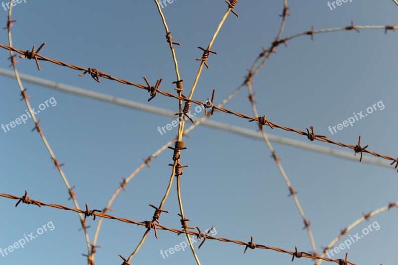 Barbed Wire Wire Security Thorn Close