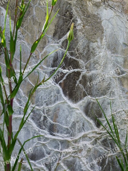 Cement Wall Leaching Concrete Material