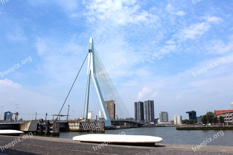 Erasmus Bridge Rotterdam Mesh Swan Erasmus